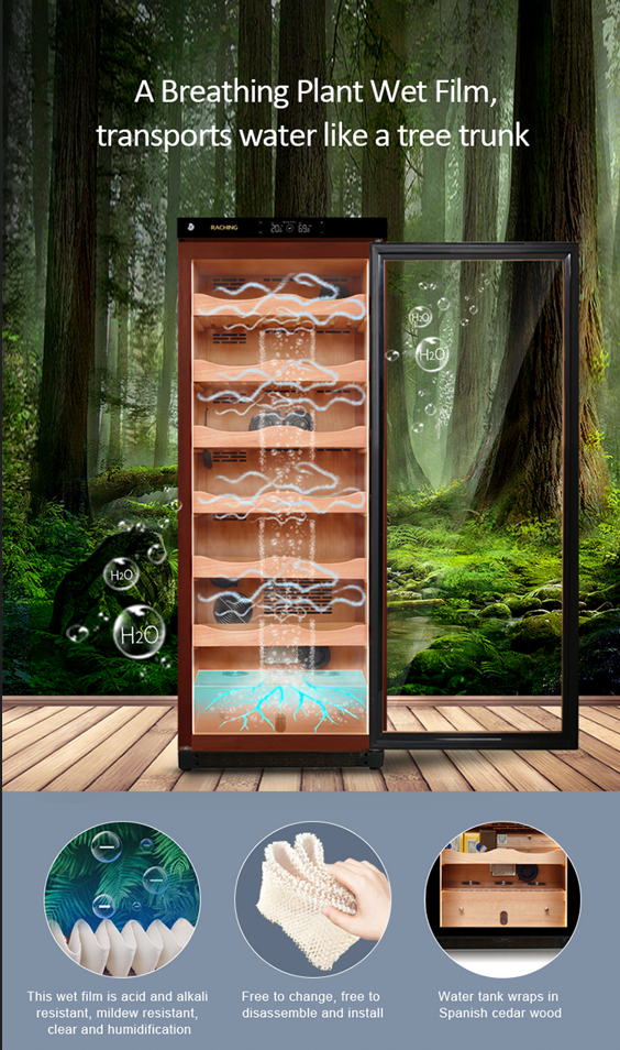 RACHING C Series Humidor
